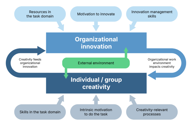 An infographic. Organizational innovation is affected by resources in the task domain, motivation to innovate, and innovation management skills. Individual and group creativity is affected by skills in the task domain, intrinsic motivation, and creativity-relevant processes. Organizational innovation and individual and group creativity feed each other. External environment affects both.